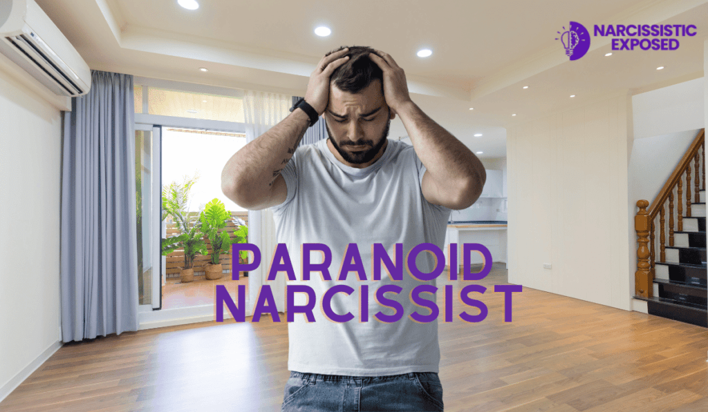 paranoid narcissist